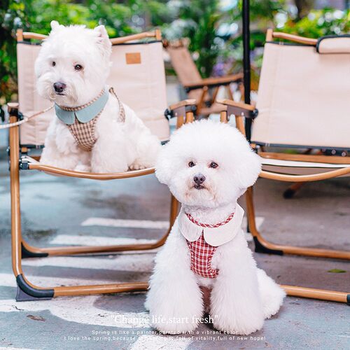 狗狗牵引绳格子款小型犬