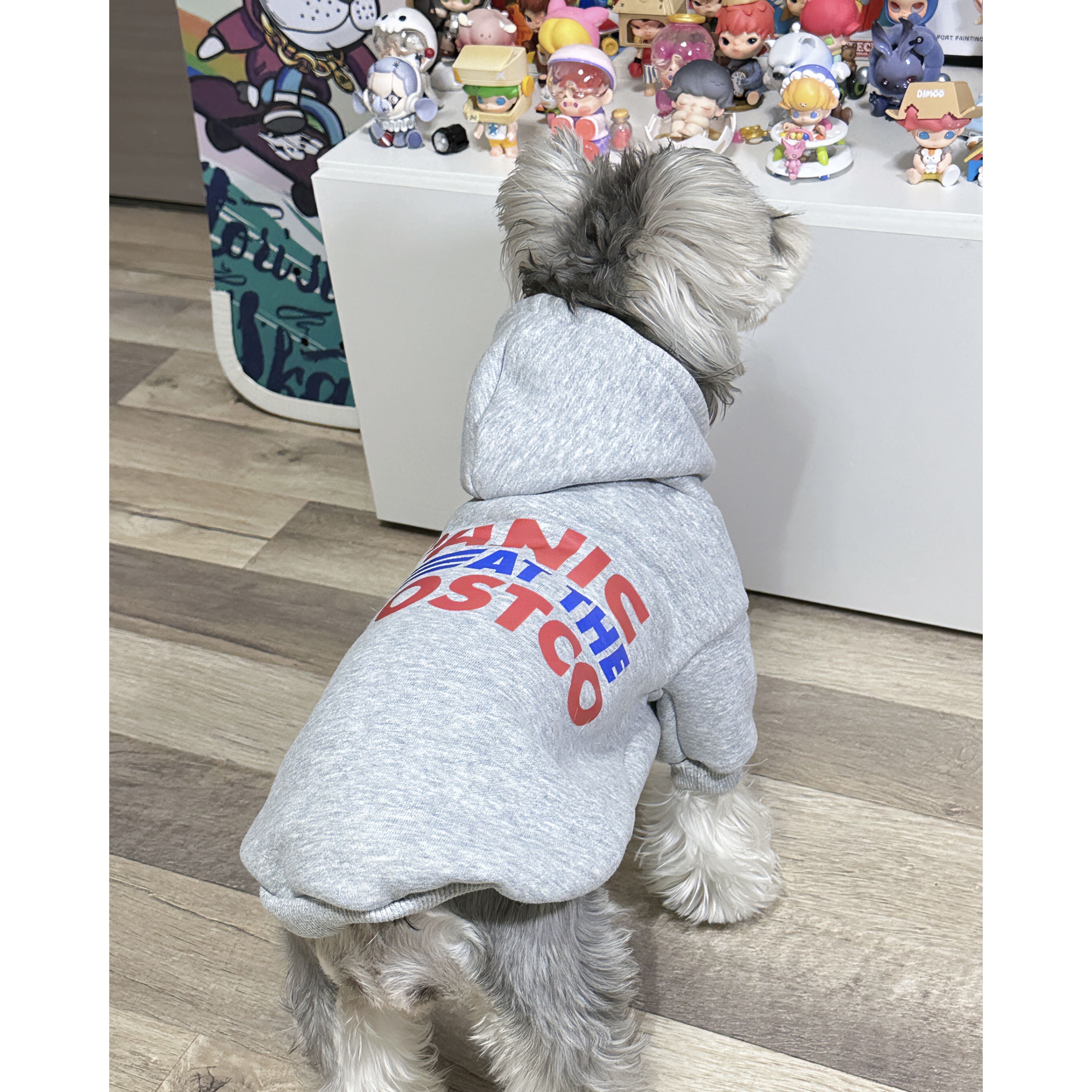 秋冬天宠物猫咪狗狗衣服韩版防掉毛法斗雪纳瑞泰迪加绒保暖卫衣