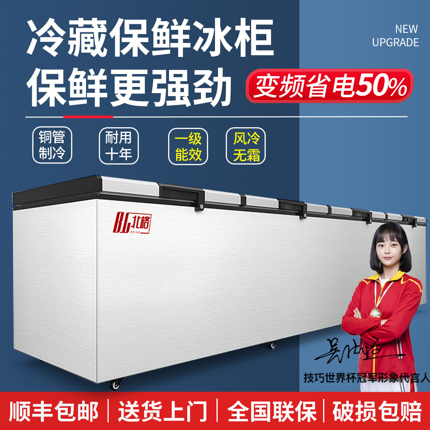 商用大容量冰柜北格冷冻单温卧式图片