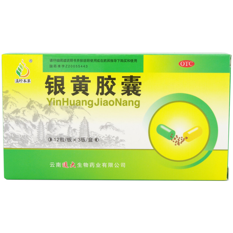 滇珍本草 银黄胶囊 0.3g*36粒清热解毒扁桃体炎咽喉炎呼吸道感染