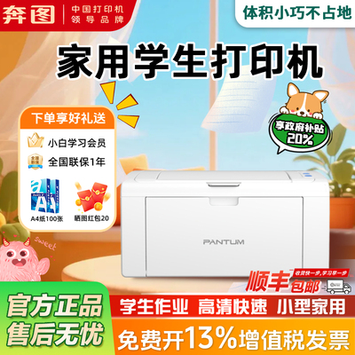 家用政府补贴20%奔图P2506W