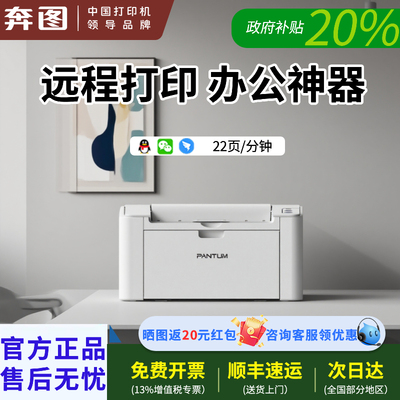 政府补贴奔图P2518NW办公