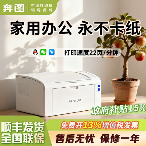 不卡纸政府补贴15%奔图P2506W