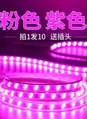 紫色LED灯带紫光粉色灯带家用220v装饰浪漫创意超亮户外防水长条