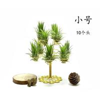 空氣鳳梨托架精靈樹鋁線底座北歐ins風(fēng)多個(gè)組合架空氣草創(chuàng)意支架