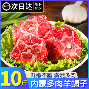 10斤新鲜多肉羊蝎子内蒙古带肉羊骨头羔羊肉冷冻羊脊骨火锅食材