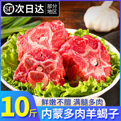 【10斤！内蒙古羊蝎子】多肉新鲜