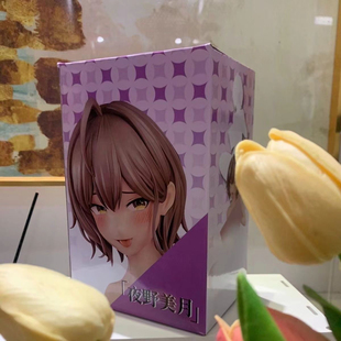 国产绝版野美月手办优质版美少女动漫模型机箱景品摆件生日礼物