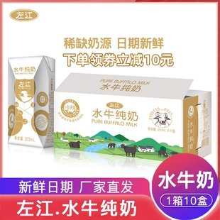 左江水牛奶210ml 10盒左江水牛纯奶学生营养方便早餐牛奶高钙牛奶