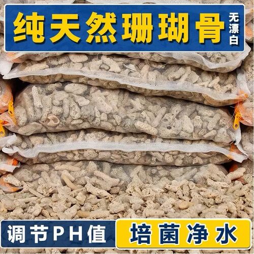 珊瑚骨鱼缸天然滤材调酸碱净水质