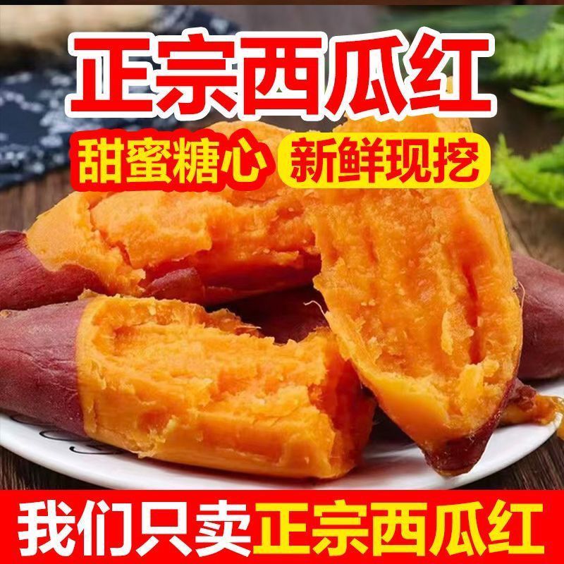 河南沙地西瓜红心蜜薯新鲜现挖