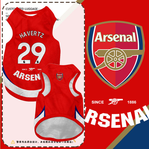 欧冠阿森纳队29号7号宠物背心