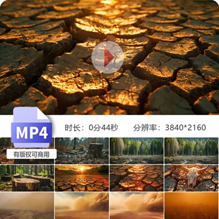 高清森林砍伐水土流失地表干裂植被破坏沙尘暴环境污染河视频素材