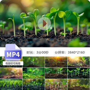 高清种子破土而出茁壮成长植物延时摄影春天万物复苏视频素材