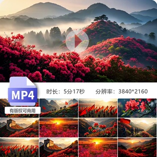 高清山丹丹开花红艳艳桃花源红梅赞满山映红云雾缭绕风景视频素材