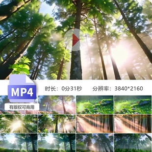 高清唯美森林逆光云雾大自然风景清晨丁达尔梦幻暮树荫天视频素材