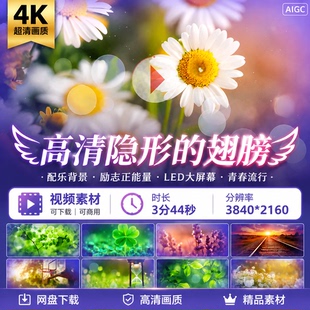 高清隐形的翅膀配乐背景励志正能量LED大屏幕青春流行视频素材