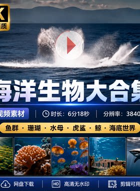 高清海洋生物大合集鱼群珊瑚水母虎鲨鲸海底世界景色视频素材