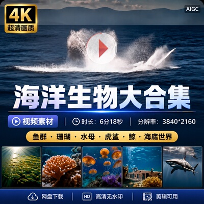 高清海洋生物大合集鱼群珊瑚水母虎鲨鲸海底世界景色视频素材