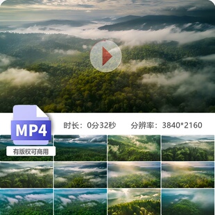 高清4K森林航拍原始绿色清晨薄雾树木生态大自然环保公园视频素材