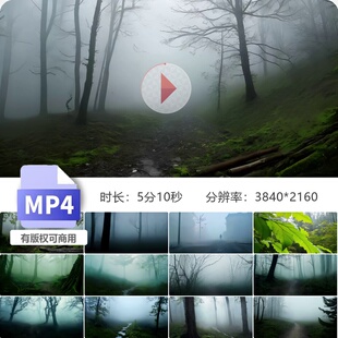 高清迷雾重重山路起雾小路诡异神秘气森林大树里蒙密视频素材