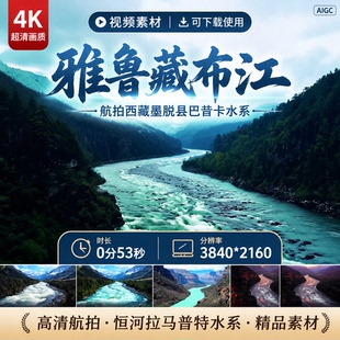 高清雅鲁藏布江航拍恒河拉马普特水系西藏墨脱县巴昔卡视频素材