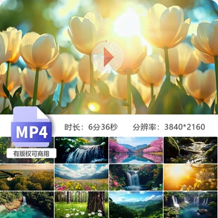 高清春天森林万物复苏清晨阳光溪流绿水青山小鸟动物视频素材