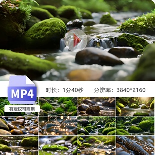 高清森林小溪自然风光清晨阳光鸟语花香绿植生态氧吧视频素材