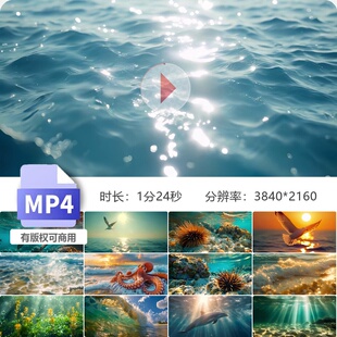 高清海洋世界鱼群珊瑚水母龟鲸海鸥飞翔扬帆起航海底镜头视频素材