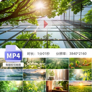 高清小清新夏季立夏小满芒种阳光生态绿色氧吧天然植物种视频素材