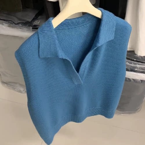 蓝色百搭羊毛V领针织背心女