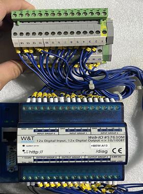 [德峰]Web机&T 、W  整套 TIO加氯W带线 &-漏氯报警仪