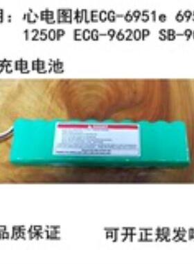 光电6951e 1250P 光电心电图机电池 ECG-9620P SB-901D电池议价