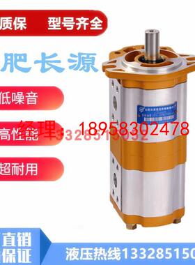 合肥长源双联齿轮泵CBTL-E430/F425/F420/F416/F410-AFP/AF?全新