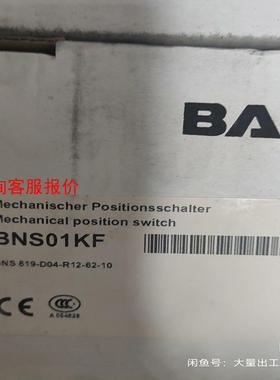 BNS 819-D04-R12-62-10 BNS01KF巴