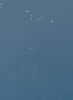 二手H3C S5500-48P-WiNet  48口全千兆以