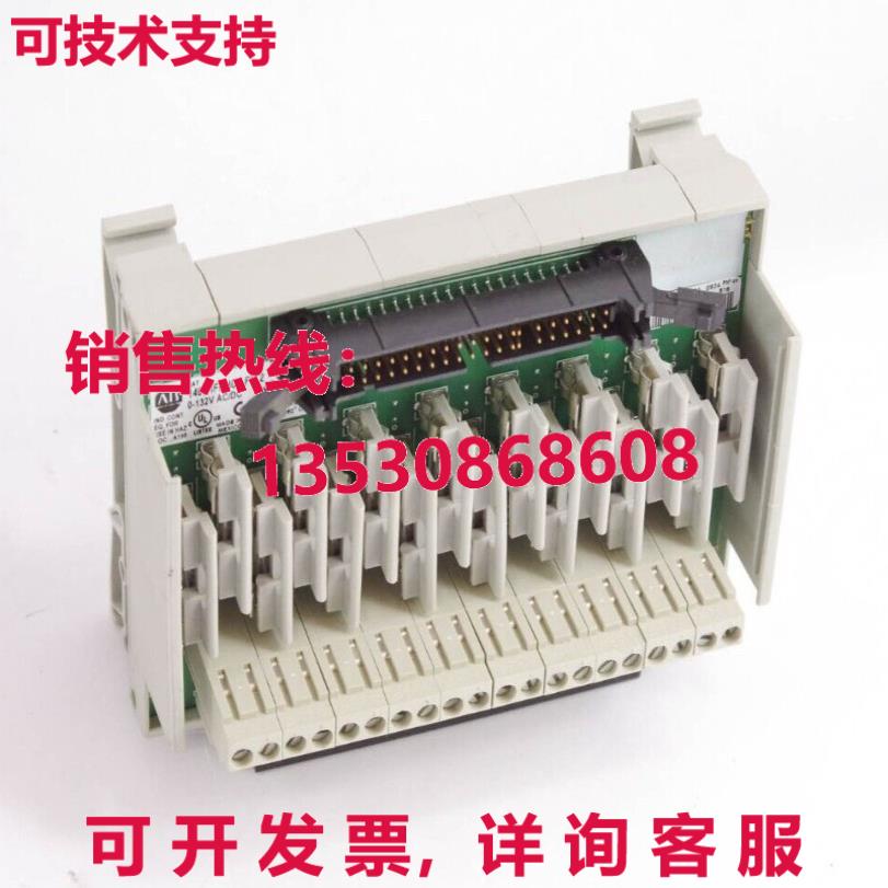 Allen Bradley 1492-IFM40F-FS-2 / 1492IFM40FFS2 Ser A Analog