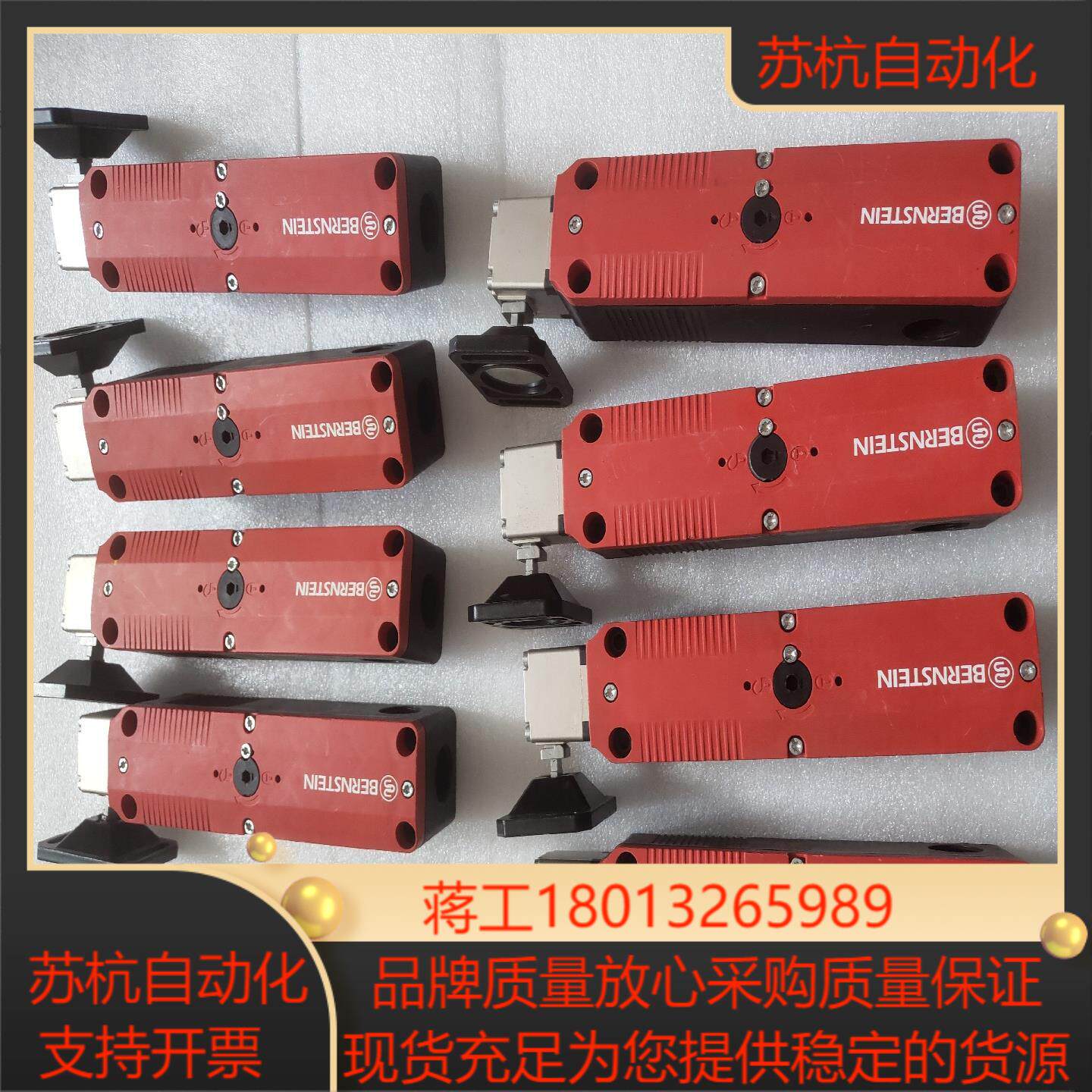 BERNSTEIN博恩斯坦安全门锁SLC-F-024-30/