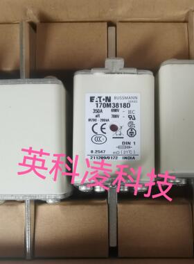 170M3818D 170M3817D 170M3816D