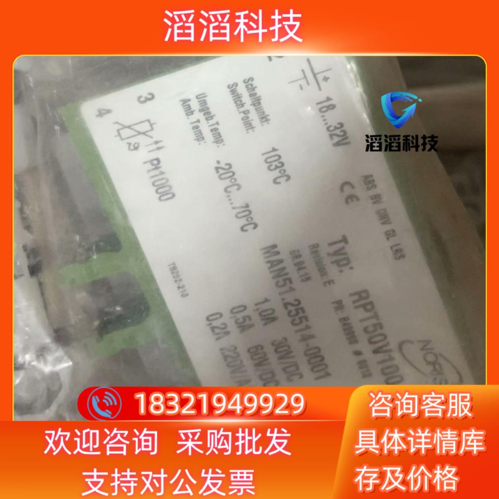现货德国 NORIS RPT50V100 PT1000 温度 限