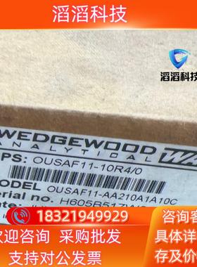 现货E+H OUSAF11-AA210A1A10C  WEDGE