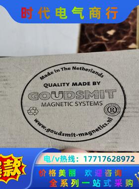 GOUDSMIT TPGC040078德国原装电磁铁HG议价