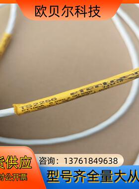 易福门TS2256温度传感器，条，线长2米，150