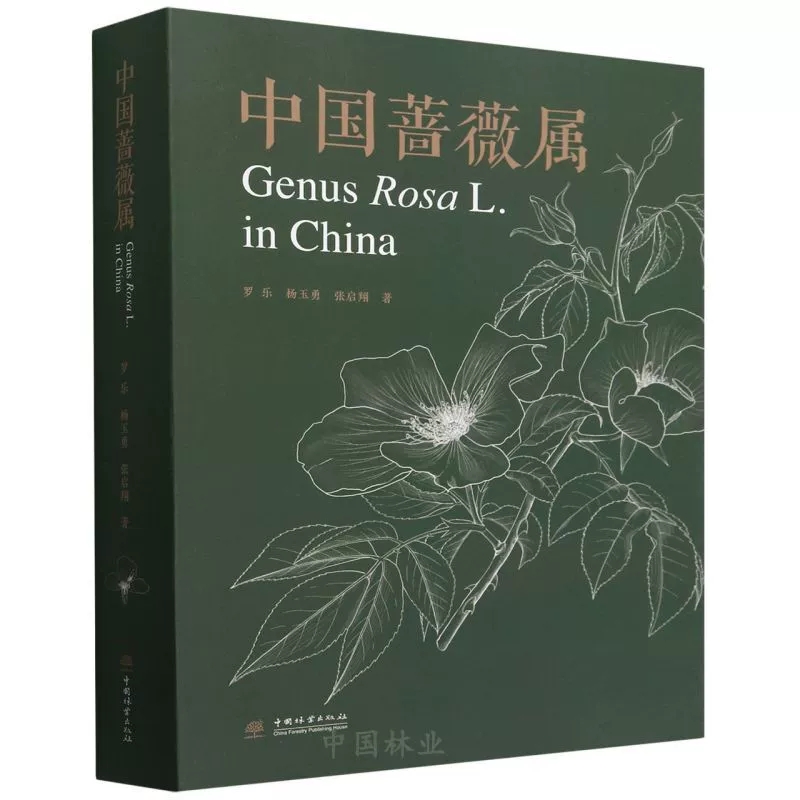 中国蔷薇属  罗乐、杨玉勇、张启翔