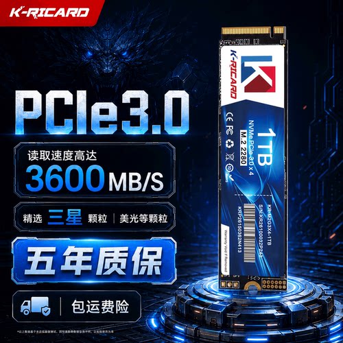 K-RICARDM.2固态硬盘全新颗粒