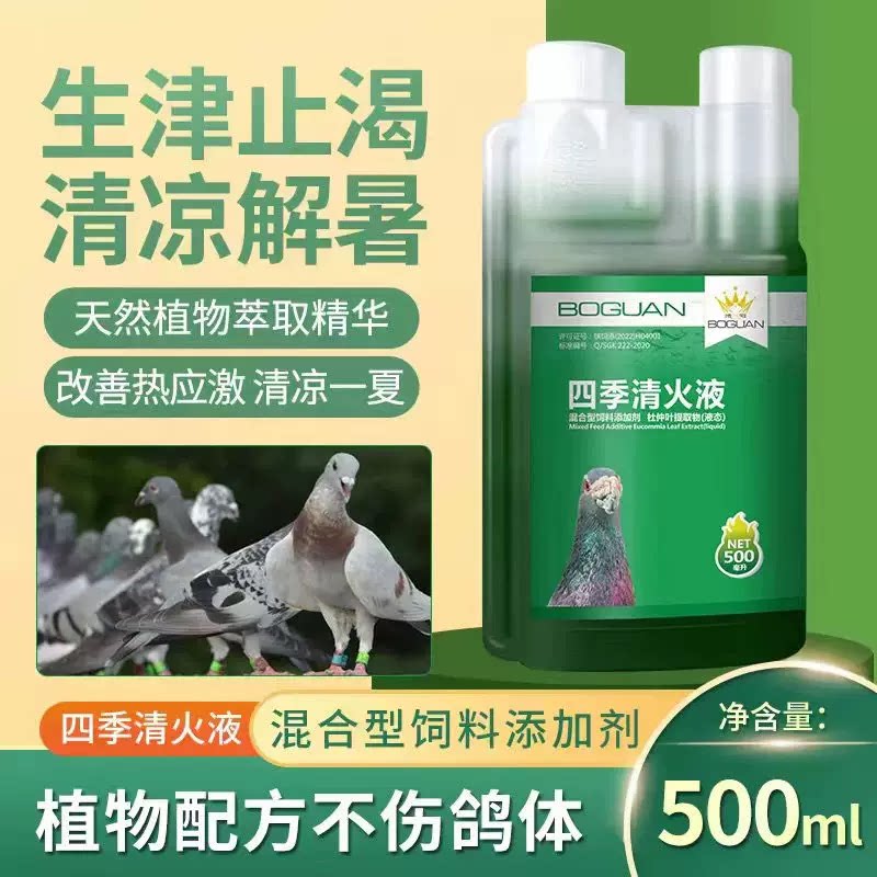 四季清火液赛信鸽子鹦鹉清火夏季解暑降温绿色精赛鸽鸽茶非鸽药