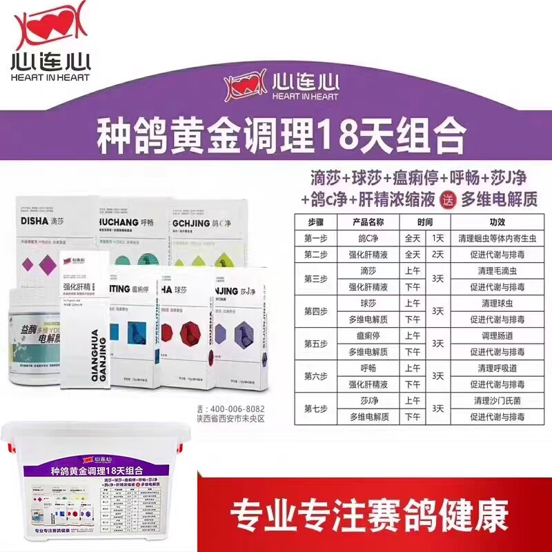 心连心种鸽调理套装鸽药种鸽调理