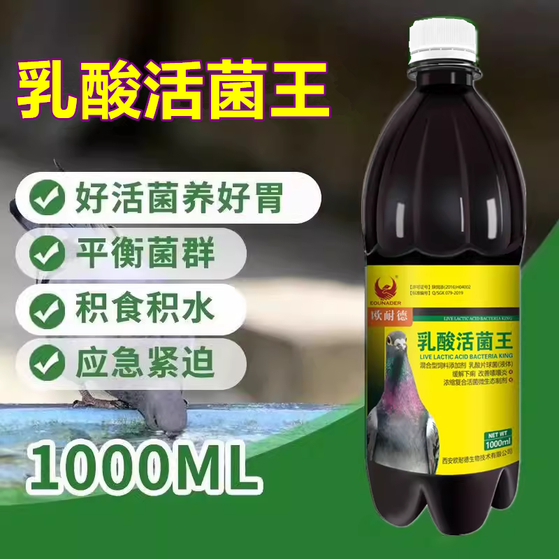 欧耐德鸽子药乳酸活菌王赛鸽活菌