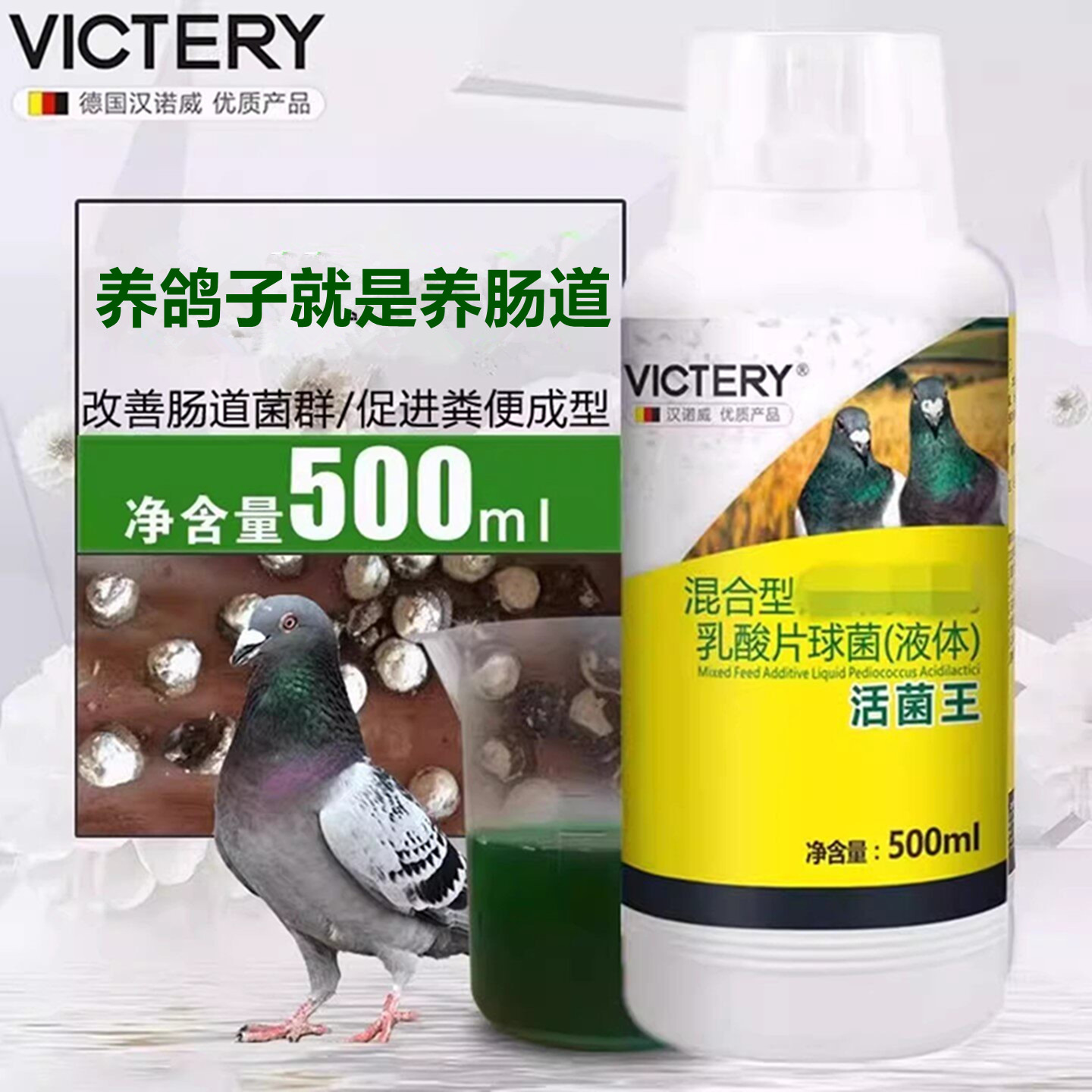活菌王汉诺威肠道水便沙门赛鸽