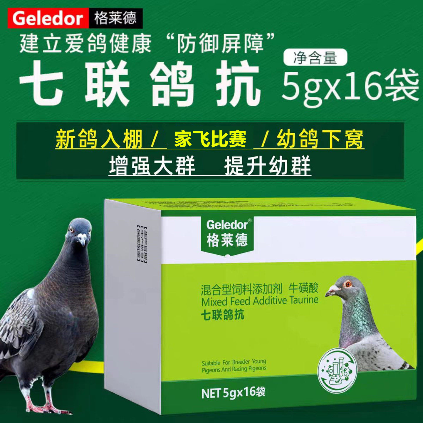 格莱德七联鸽抗新城沙门鸽非鸽药